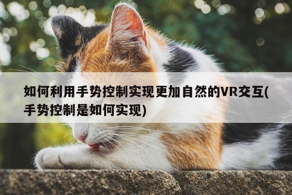 凯发一触即发-如何利用手势控制实现更加自然的VR交互(手势控制是如何实现)