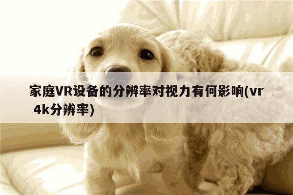 家庭VR设备的分辨率对视力有何影响(vr 4k分辨率)|凯发一触即发