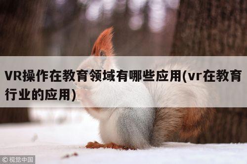 VR操作在教育领域有哪些应用(vr在教育行业的应用)_凯发一触即发