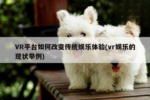 【k8凯发】VR平台如何改变传统娱乐体验(vr娱乐的现状举例)