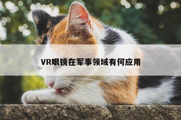 VR眼镜在军事领域有何应用_凯发一触即发