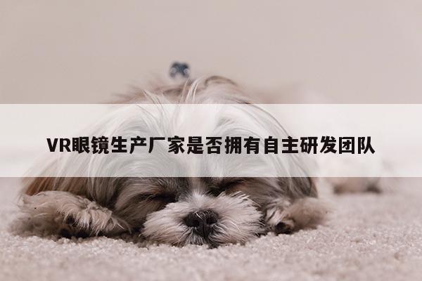 VR眼镜生产厂家是否拥有自主研发团队【凯发一触即发】