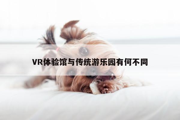 VR体验馆与传统游乐园有何不同：凯发一触即发