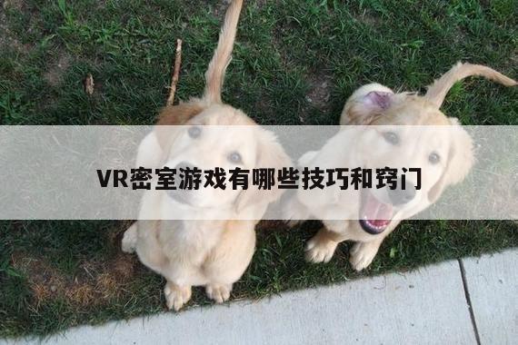 VR密室游戏有哪些技巧和窍门|k8凯发