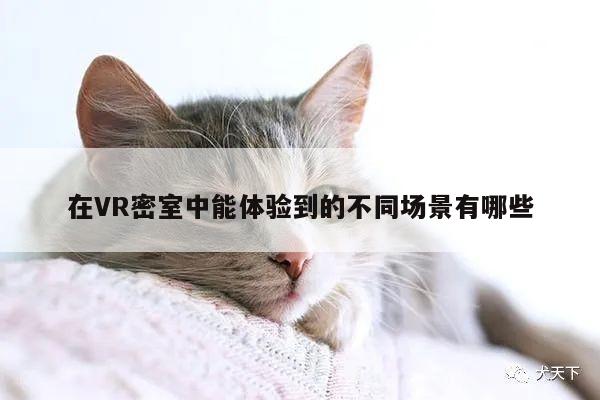 在VR密室中能体验到的不同场景有哪些-k8凯发