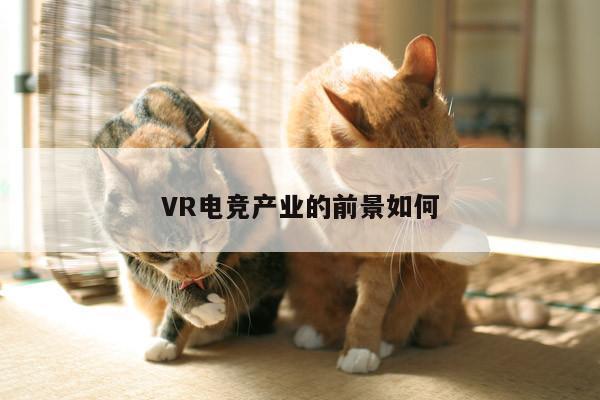 凯发一触即发-VR电竞产业的前景如何