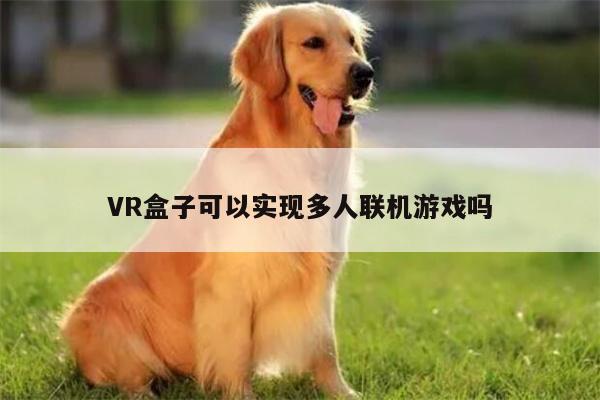 VR盒子可以实现多人联机游戏吗-k8凯发