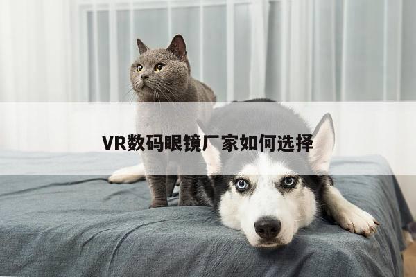 VR数码眼镜厂家如何选择-凯发一触即发