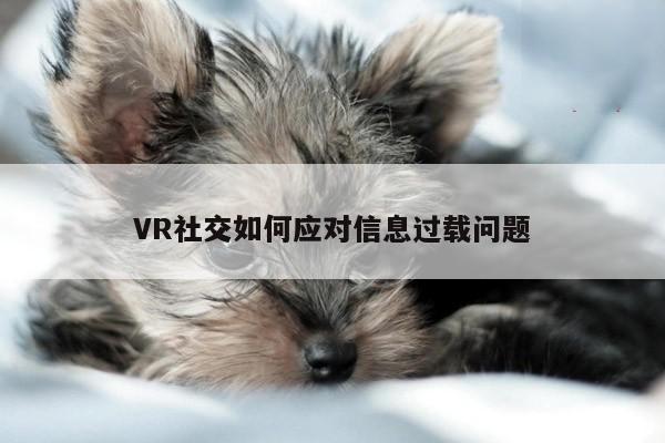 【凯发一触即发】VR社交如何应对信息过载问题