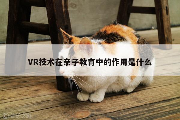 VR技术在亲子教育中的作用是什么【凯发就来凯发天生赢家一触即发】