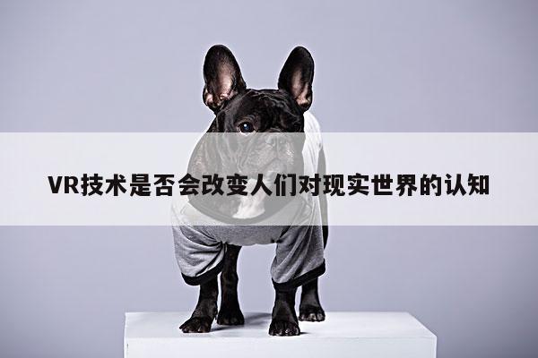 凯发一触即发：VR技术是否会改变人们对现实世界的认知