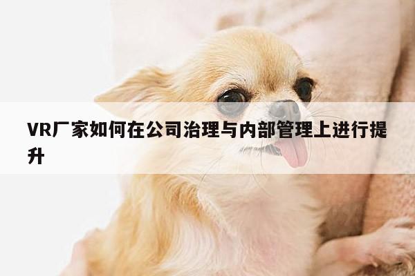 VR厂家如何在公司治理与内部管理上进行提升【凯发就来凯发天生赢家一触即发】