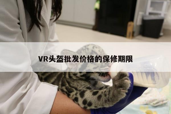 VR头盔批发价格的保修期限_k8凯发