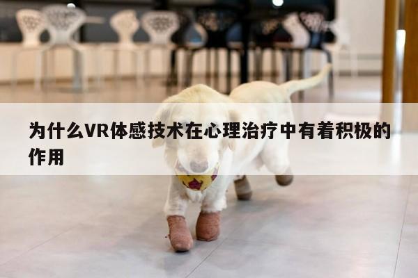 为什么VR体感技术在心理治疗中有着积极的作用_凯发一触即发