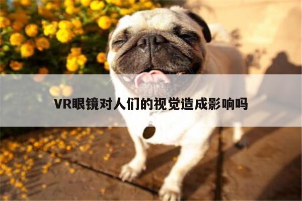 【k8凯发】VR眼镜对人们的视觉造成影响吗