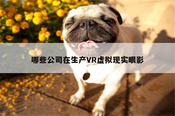 【k8凯发】哪些公司在生产VR虚拟现实眼影