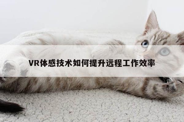 k8凯发_VR体感技术如何提升远程工作效率