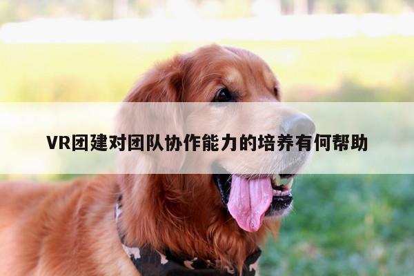 凯发就来凯发天生赢家一触即发：VR团建对团队协作能力的培养有何帮助