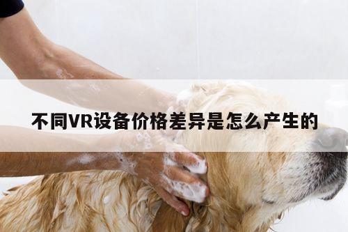 不同VR设备价格差异是怎么产生的【k8凯发】