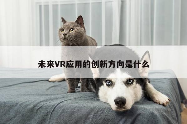 k8凯发：未来VR应用的创新方向是什么