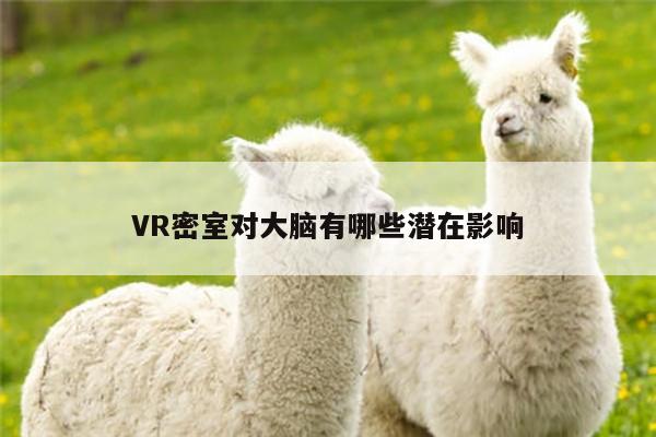 VR密室对大脑有哪些潜在影响_k8凯发