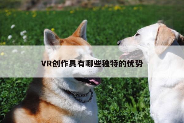 凯发就来凯发天生赢家一触即发-VR创作具有哪些独特的优势