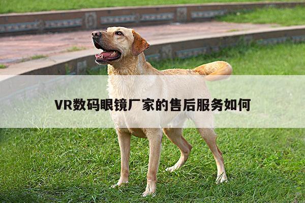 凯发一触即发|VR数码眼镜厂家的售后服务如何