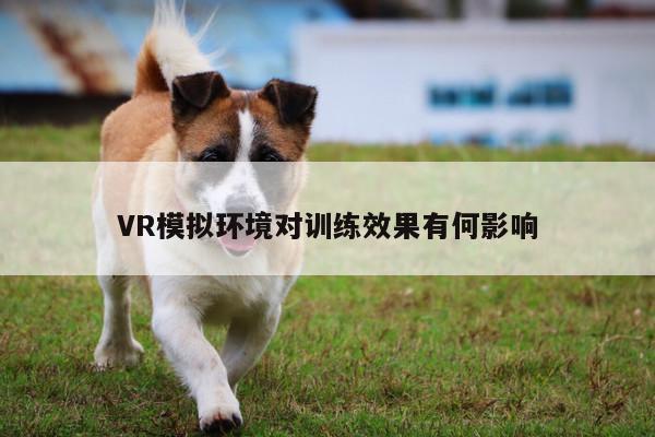 【凯发就来凯发天生赢家一触即发】VR模拟环境对训练效果有何影响